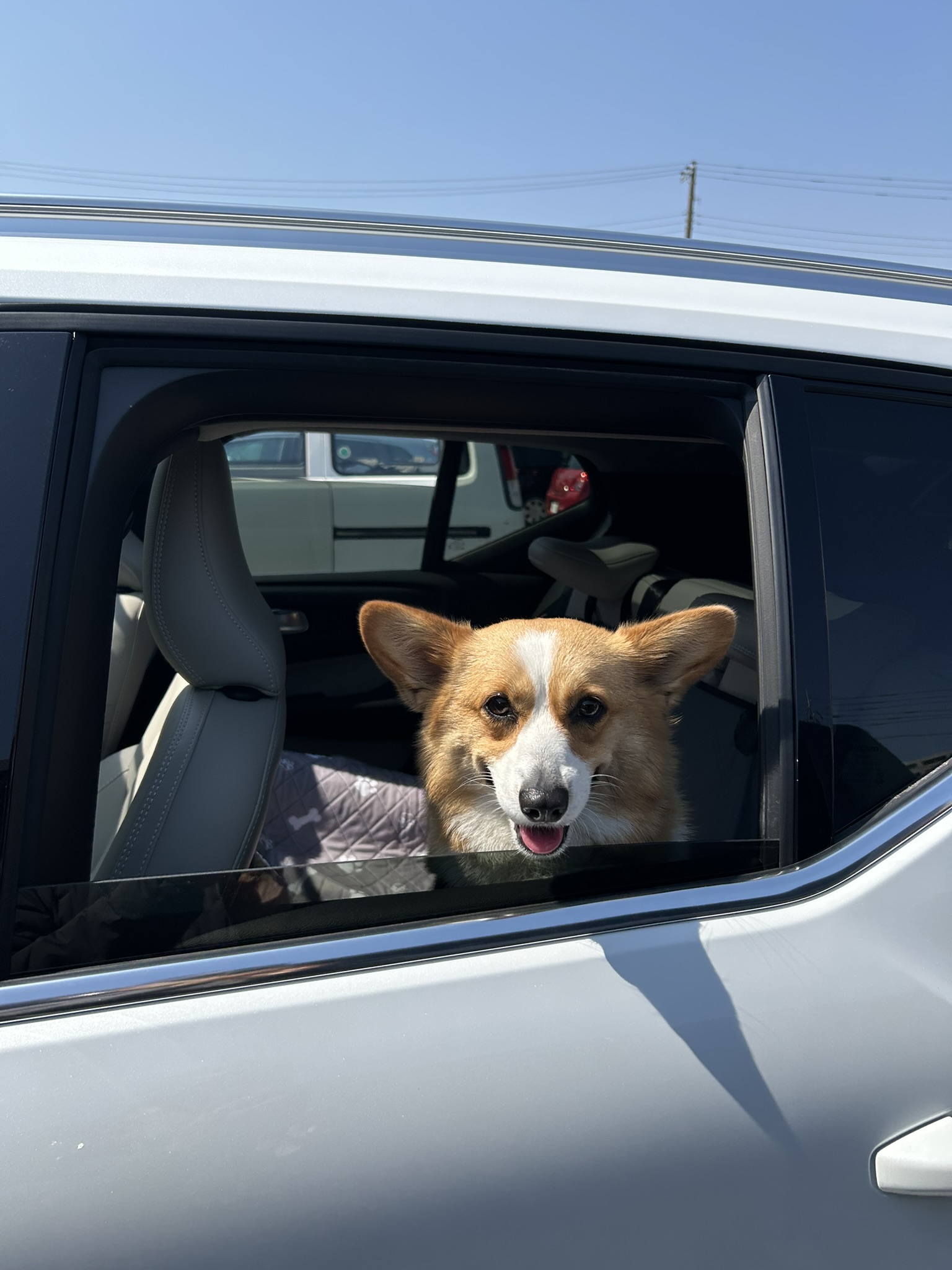 愛ちゃん 窓から